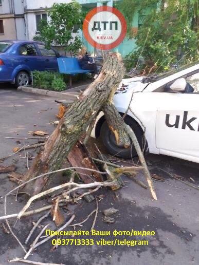 На автомобиль Uklon упало дерево.