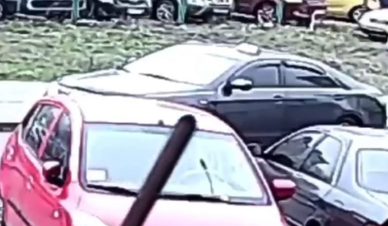 В Киеве таксист украл клумбу, уже не первую (Видео)