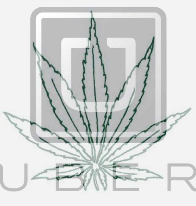 Uber готов доставлять каннабис после легализации его употребления по всей Америке
