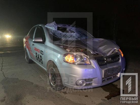 В Кривом Роге таксист насмерть сбил пешехода